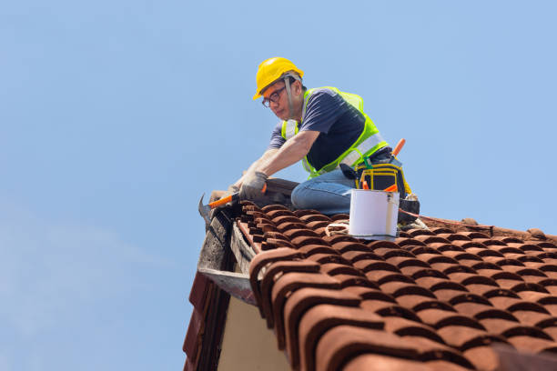 Best Roof Maintenance and Cleaning  in Indian Springs, GA